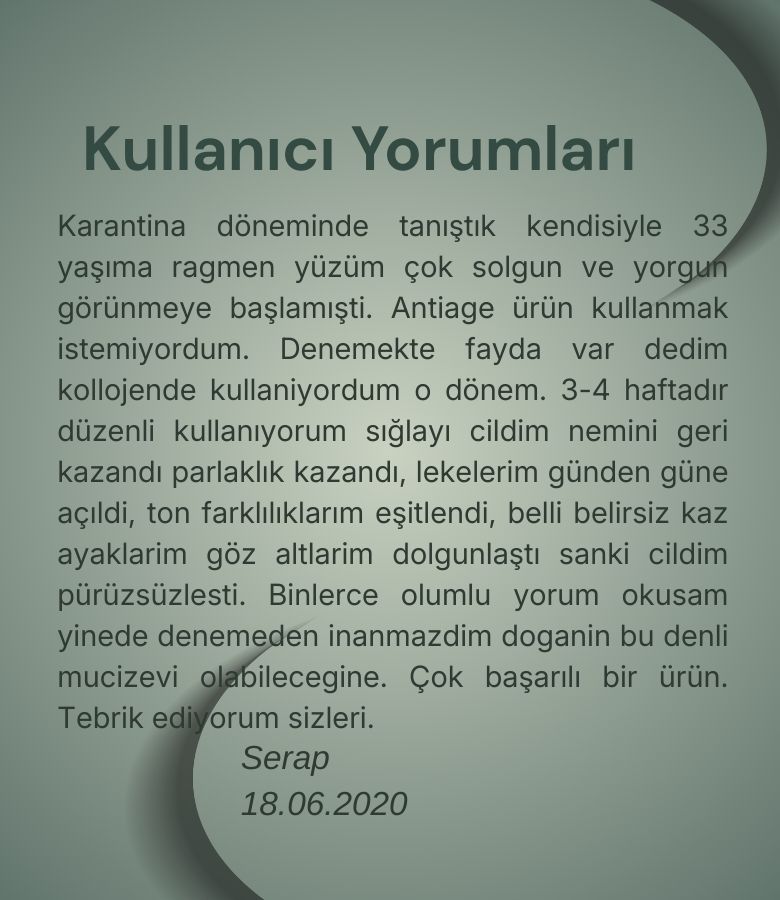 Yorum 3