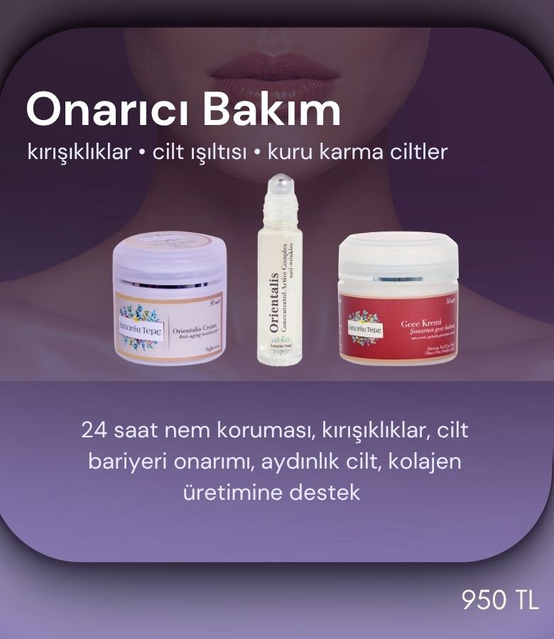 Onarıcı Bakım