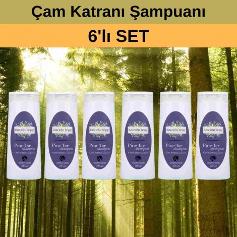 Set Ürün 6 x Çam Katranı Şampuanı