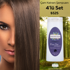 Set Ürün 4 x Çam Katranı Şampuanı